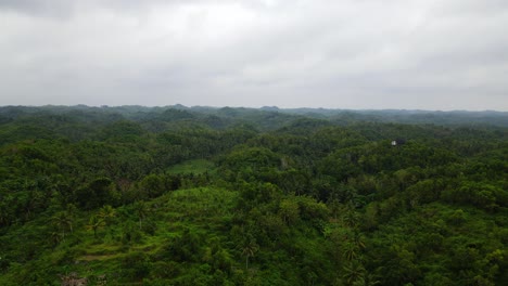 Aerial-dolly-out-over-lush-tropical-jungle-in-Southeast-Asia-in-cloudy-day