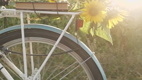 book and sunflowers on bike rack move in golden sunlight close up shot series