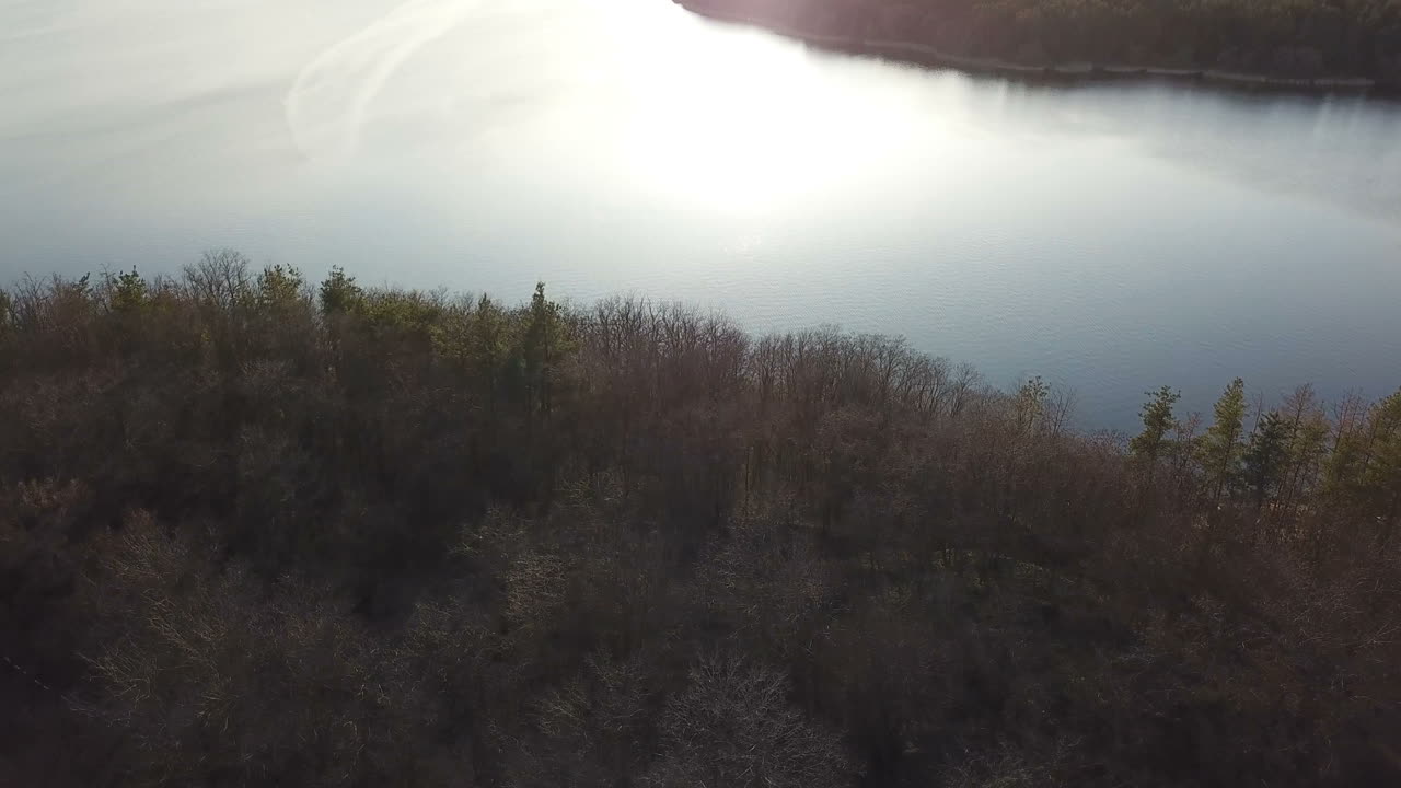 Summer landscape of the field with green grass which rolling into a forest with high coniferous trees and a wide river from aerial view. Camera motion to forward.