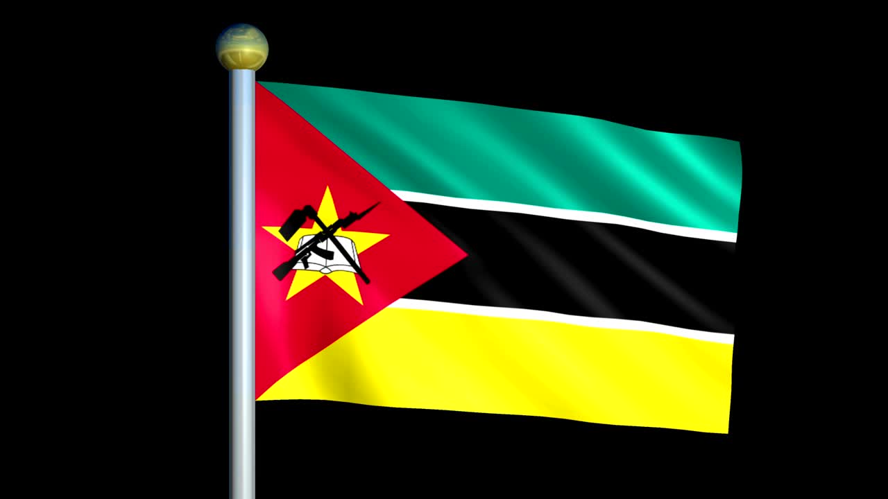 모잠비크의 큰 루핑 애니메이션 발