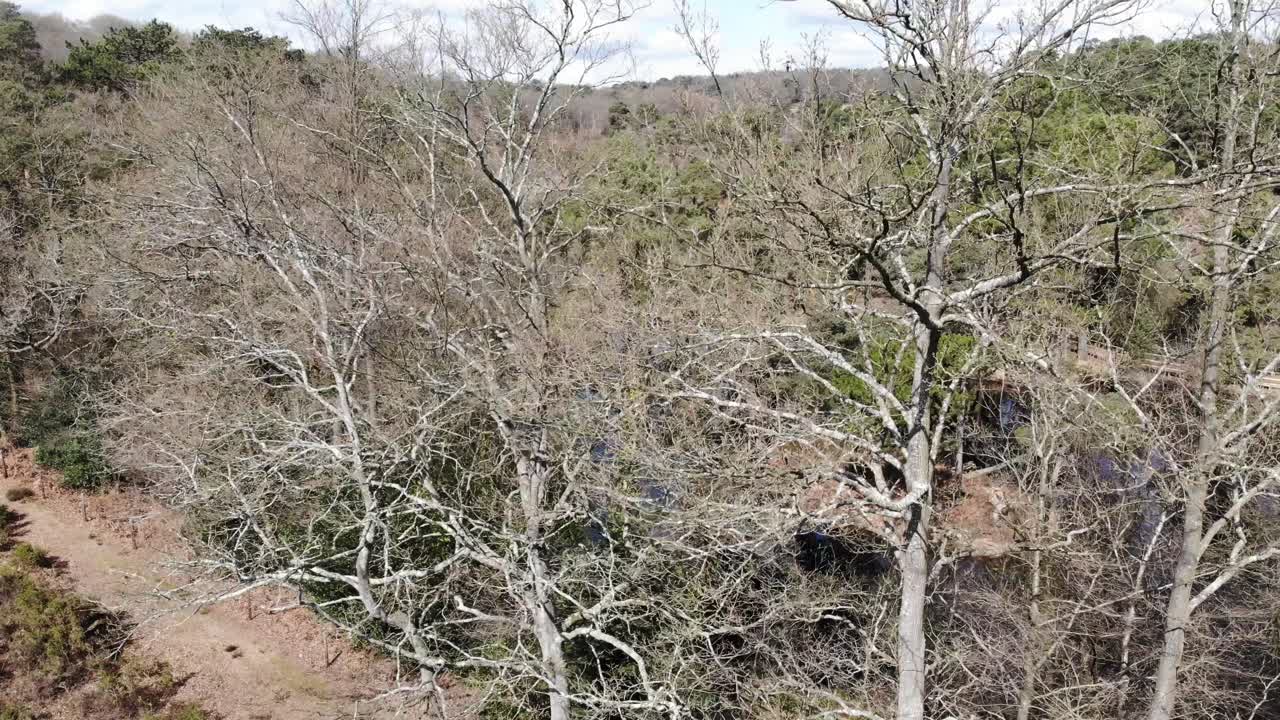 우드베리 코먼 데본 (woodbury common, devon, england) 의 부품 연못을 드러내는 공중 촬영