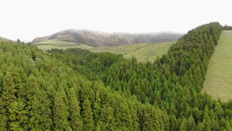 4k-aerial-footage-flying-over-the-beautiful-luscious-green,-hilly-countryside-of-Portugal's-Azores