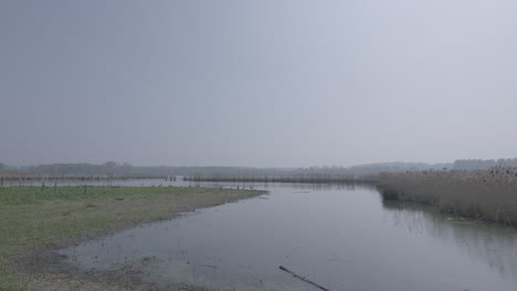 Zeitlupe-Eines-Naturparks-In-Belgien,-Der-An-Einem-Sonnigen-Tag-An-Einem-Baumstamm-Von-Oben-Nach-Unten-An-Einem-Zaun-Vorbeiführt