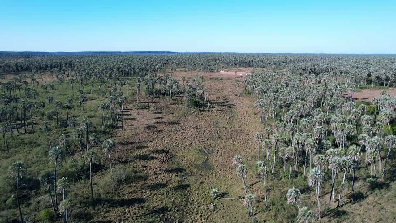 Aerial view of El Palmar National Park. . full of palm trees, streams and capybaras