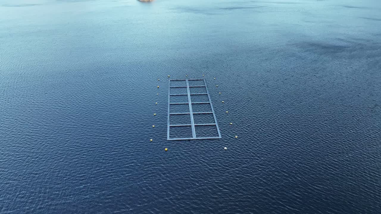 노르웨이 스 ⁇ 어 물고기 농장, 항공