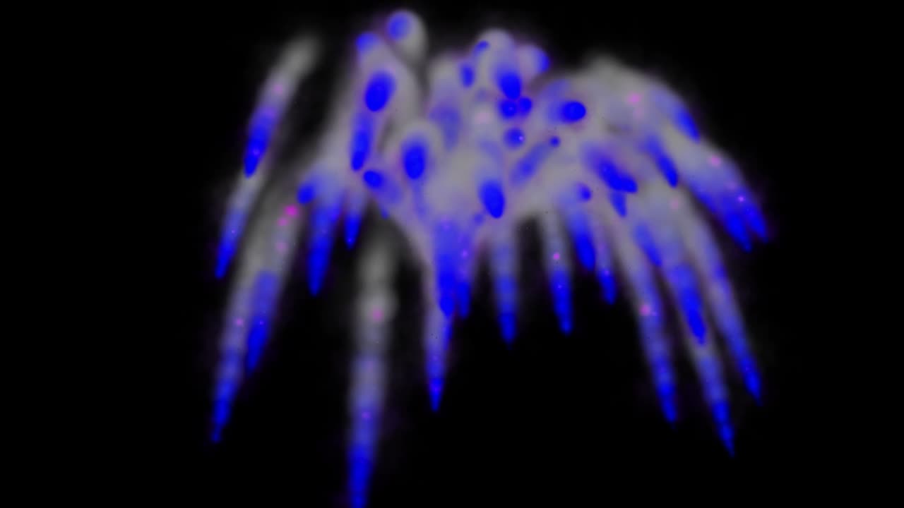 연기를 불어넣는 색 입자 애니메이션 모션 그래픽