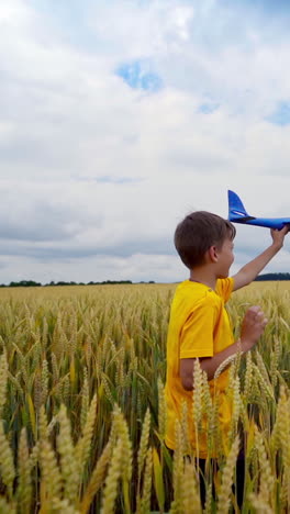 little boy among nature. happy child in yellow t-shirt walking along the agriculture field and hold toy plane over his head. slow motion. vertical video