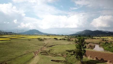 Vista-De-Drones-De-Bajo-Vuelo-De-Granjas-En-Etiopía.