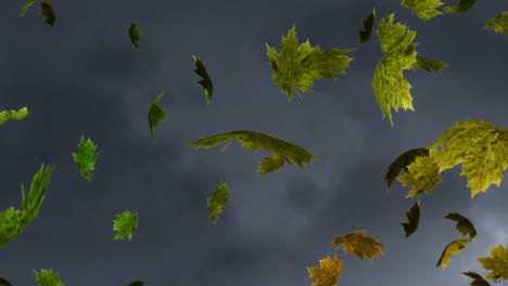 Digital-animation-of-multiple-autumn-maple-leaves-floating-against-textured-grey-background