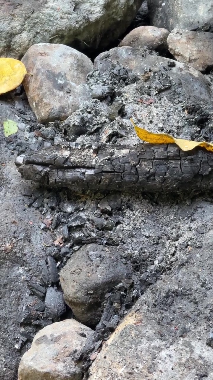 Ceppo ardente in un focolare di pietra