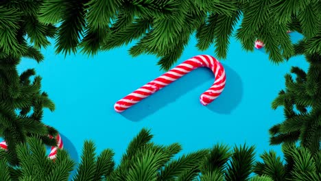 animation of christmas fir tree frame over candy on blue background