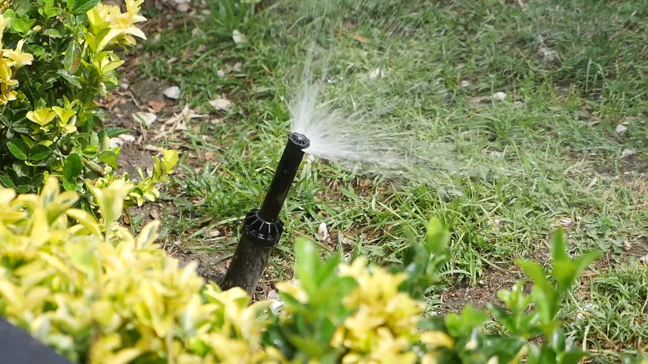 Watering the Garden with Sprinkler