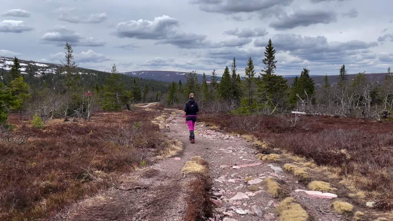 산꼭대기가 앞에 있는 산길을 걷고 있는 여자와 그녀의 개