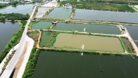 Aerial-view-of-shrimp-farmland-countryside