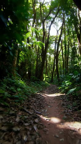 el camino de la jungla.