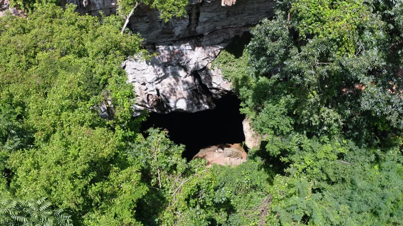 toma aérea de drones de la entrada de la cueva al pozo encantado o poço encantado rodeado de árboles tropicales y abejas volando en el parque nacional chapada diamantina en el norte de brasil