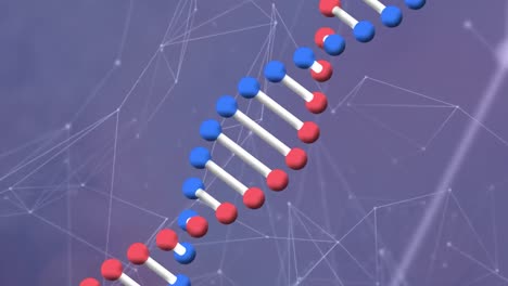 Animation-of-dna-strand-over-network-of-connections