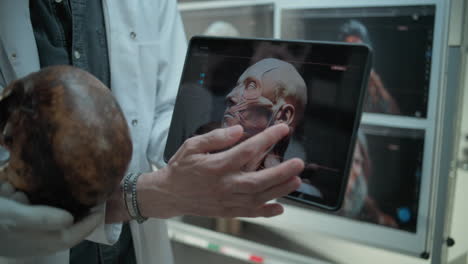 medical professional studying human anatomy with digital models