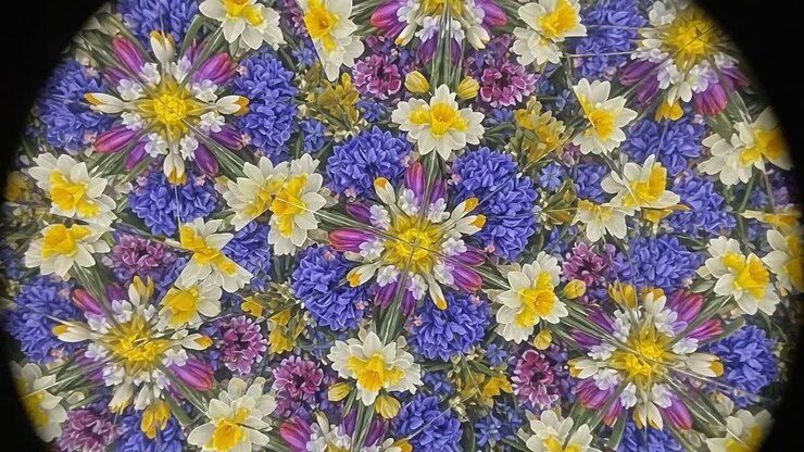 Mosaico Floreale Vibrante: Una straordinaria esplorazione ravvicinata di fioriture colorate e petali delicati, che cattura la bellezza della natura in una disposizione caleidoscopica.