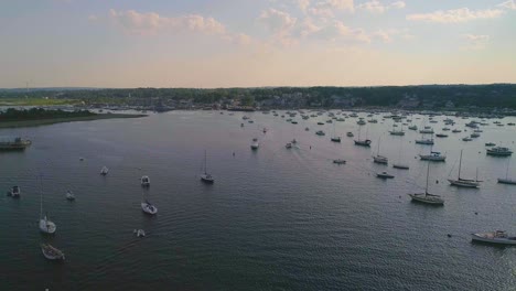 Green-trees-around-an-ocean-with-boats,-drone-video