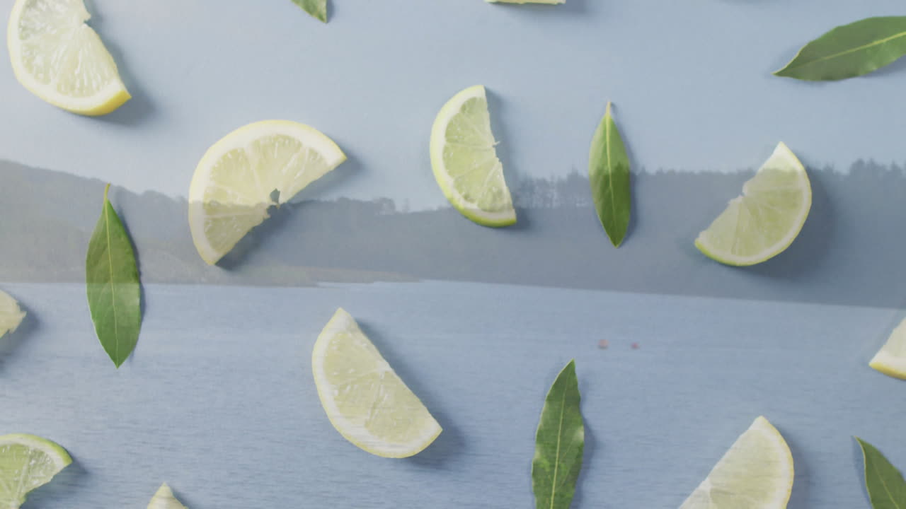 Lemon slices and green leaves floating on serene lake with animation effect