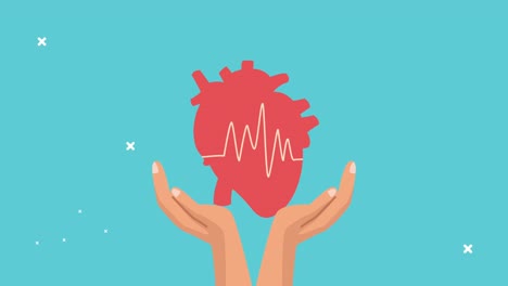 world heart day animation with hands lifting organ