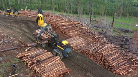 drone captures forwarder transferring timber to roadside pile