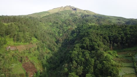 Drohnenvideo-Des-Tropischen-Regenwaldes-Am-Hang-Des-Berges---Ländliche-Landschaft