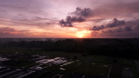 Rice-fields-with-colorful-sky-at-sunset-over-Ubud-valley,-Bali-in-Indonesia