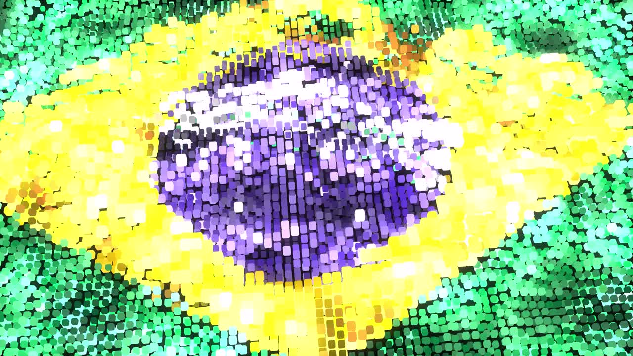 브라질 밝은 발 - 루프