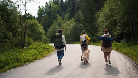 3-hikers-in-special-clothes-and-with-big-bags-walk-along-the-road-along-the-forest-with-their-dog