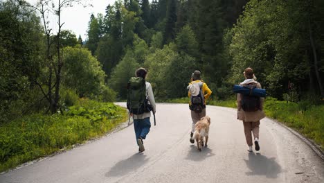 3 hikers in special clothes and with big bags walk along the road along the forest with their dog