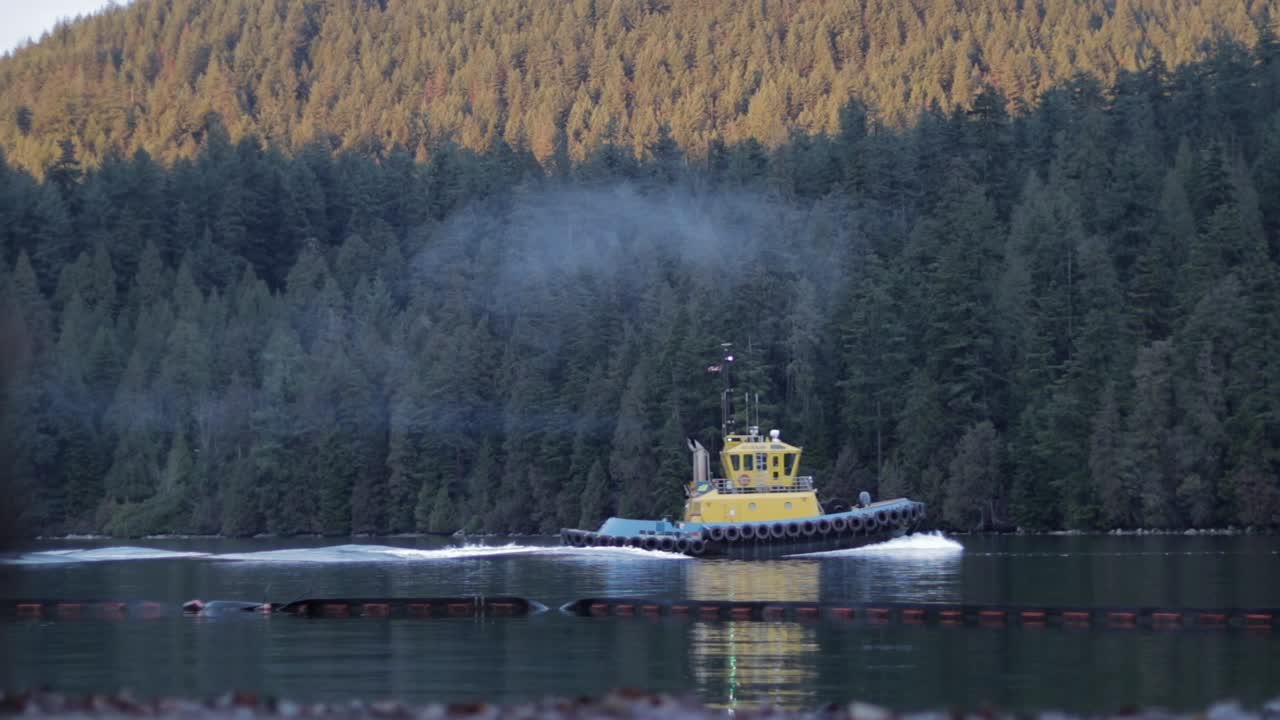 пейзажи из морского парка барнет близ ванкувера с желтым буксиром, нефтяным танкером, зелеными деревьями, песчаным пляжем и чайками в прекрасный зимний день