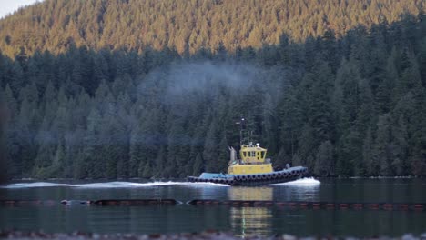 scenes from barnet marine park near vancouver with a yellow tugboat, oil tanker, green trees, sandy beach and seagulls on a nice winter afternoon