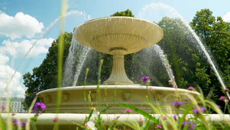 una ráfaga de agua de la gran fuente en el jardín saxón enmarcado por vibrantes flores púrpuras