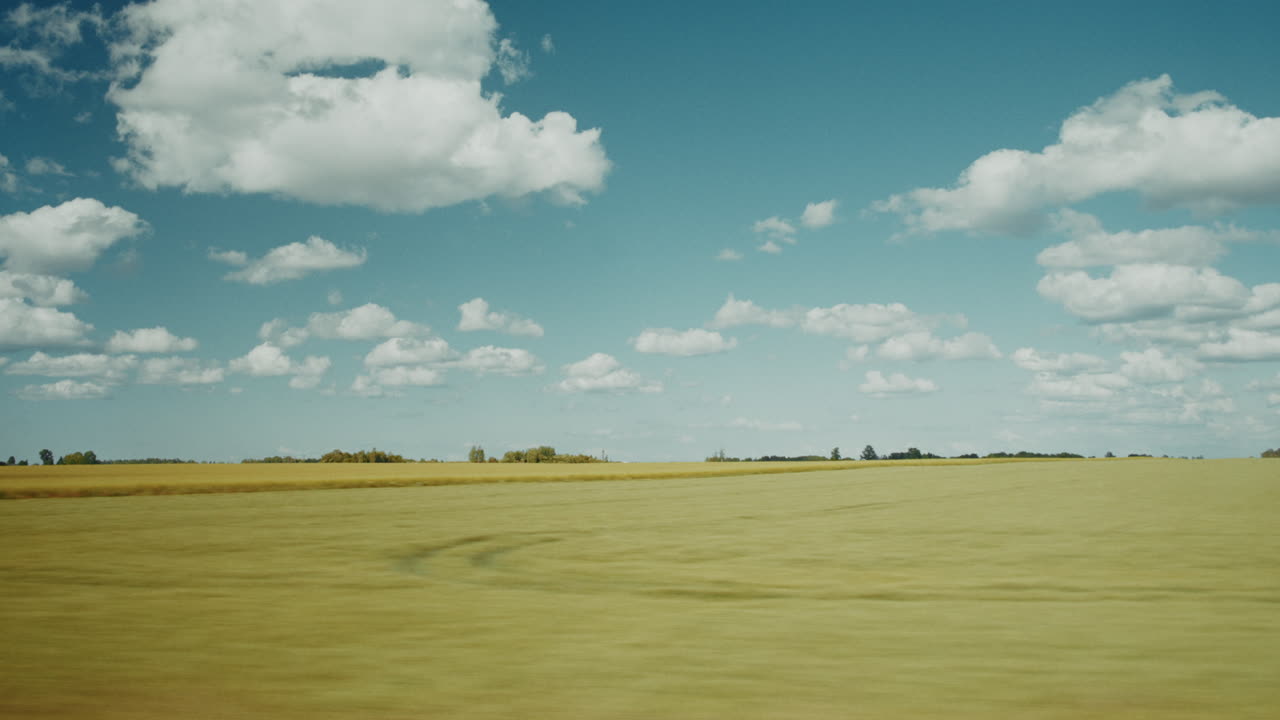 Panoramic View of a Wheat Field under a Cloudy Sky