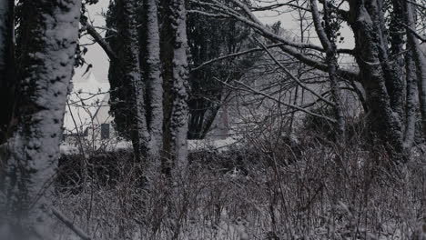 Snow-falling-in-front-of-trees-and-stone-wall-on-windy-day