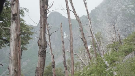 Una-Tormenta-De-Montaña-Con-Naturaleza-Muerta-En-Primer-Plano