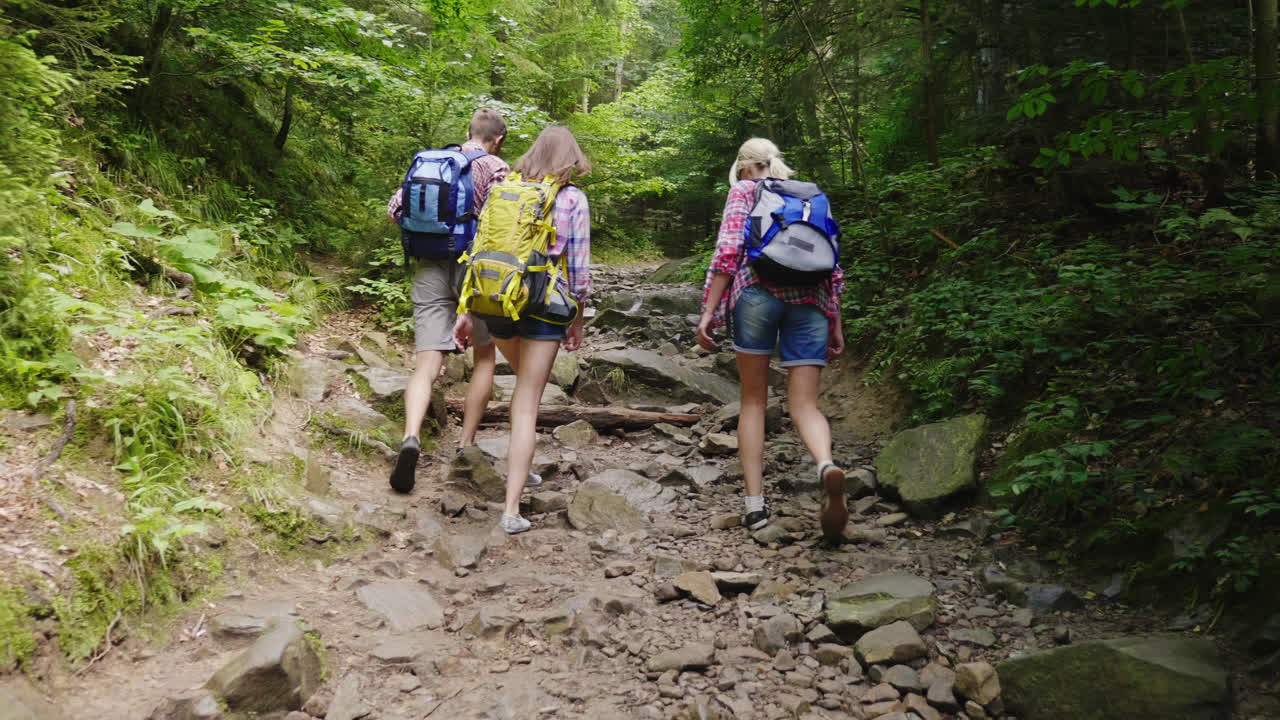 tres amigos de los turistas caminan por un sendero de montaña en el bosque vista trasera activa y saludable