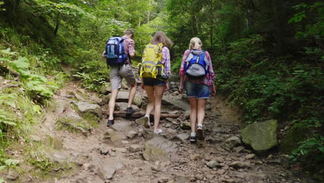 three friends of tourists are walking along a mountain path in the forest back view active and healt