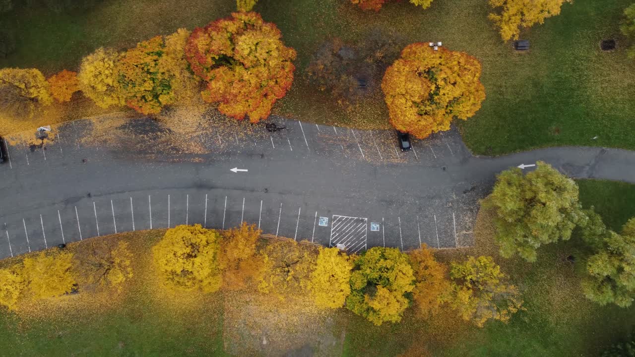 아름다운 가을 색 ⁇ 을 가진 주차장 위아래 안테나