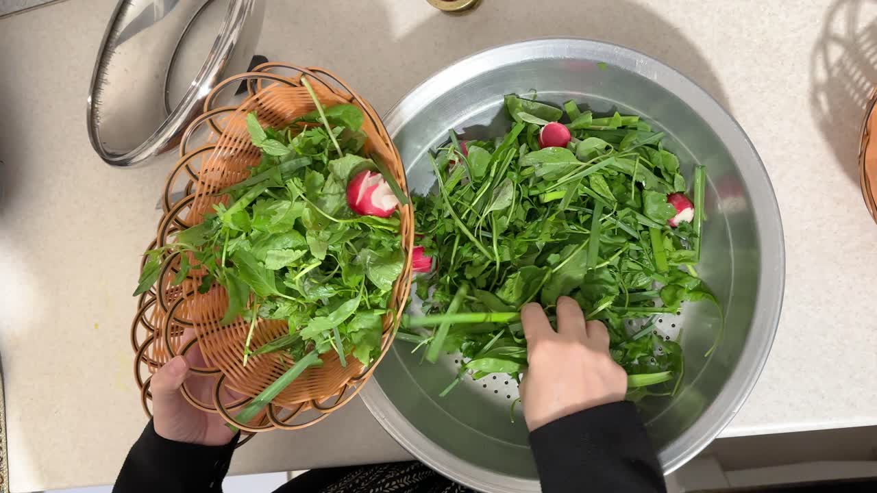 fresh green basil and parsley bunch being washed for traditional iranian persian stew cuisine closeup herbal ingredient healthy organic vegan food preparation in kitchen dinner serving table in Tehran