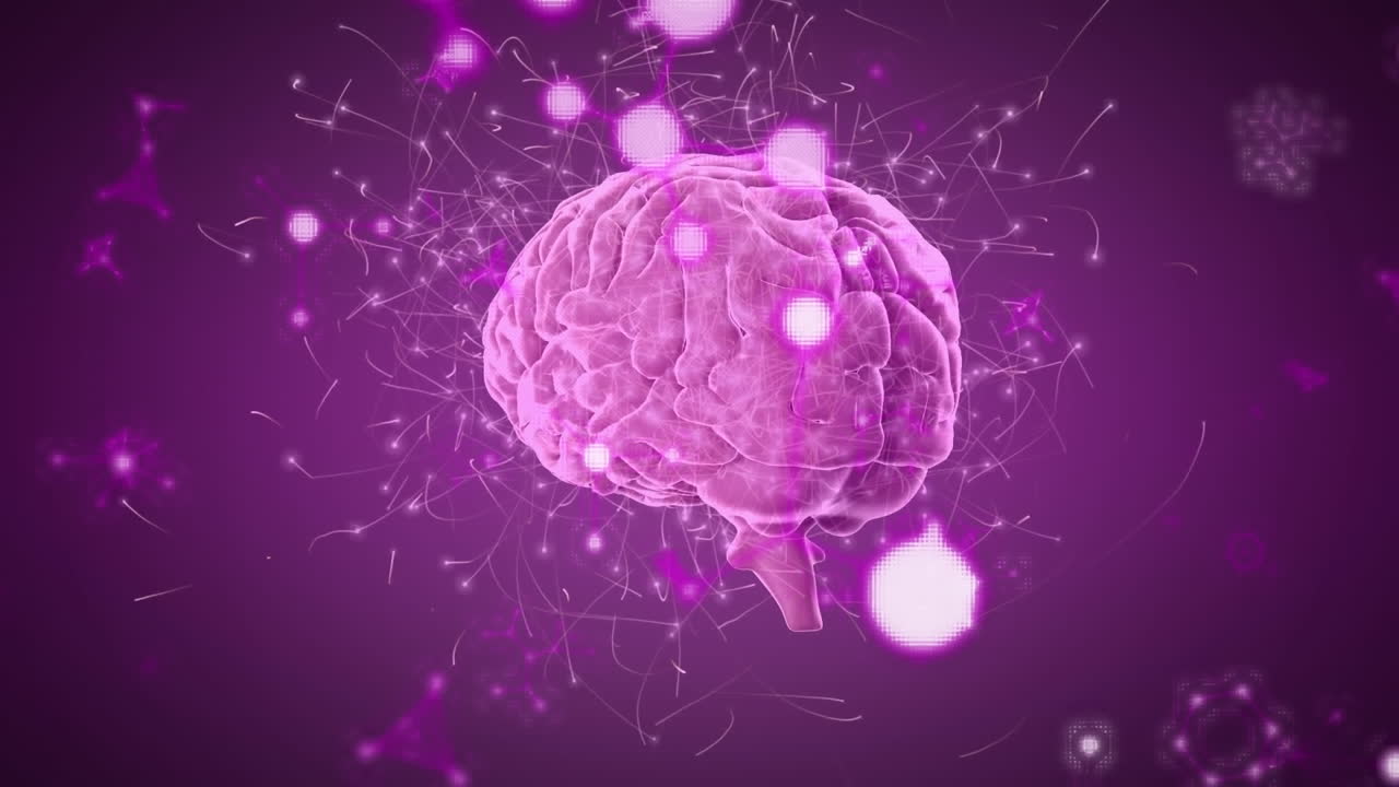 Animation of human brain showing neurons firing and rotating over lens flares