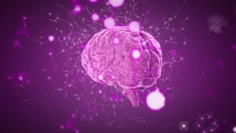 animation of human brain showing neurons firing and rotating over lens flares