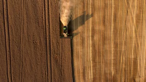 una fotografía aérea de una cosechadora que trabaja en un campo de trigo en el campo de ucrania filmada en 4k