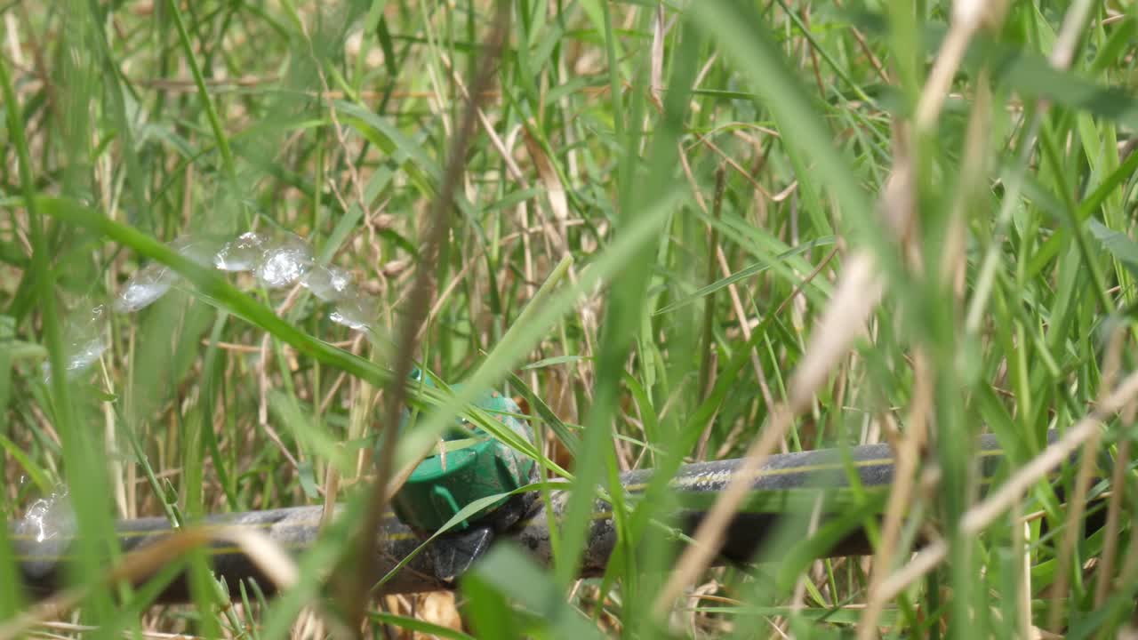 둘러싸인 땅에 물이 떨어지는 물방울 관개 콘센트의 보기를 닫습니다