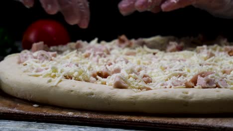haciendo una pizza de pollo y queso