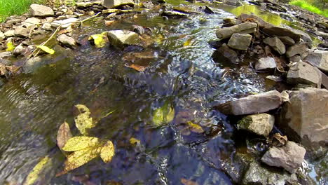 briskly moving current carries leaf down small stream.