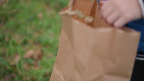 close-up of child s hand carefully placing rusted leaf into brown paper bag, adjusting it to fit, background features vibrant greenery and nature elements in outdoor setting