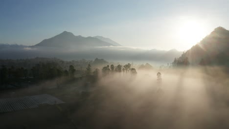 sun rays light up morning fog over farmland valley